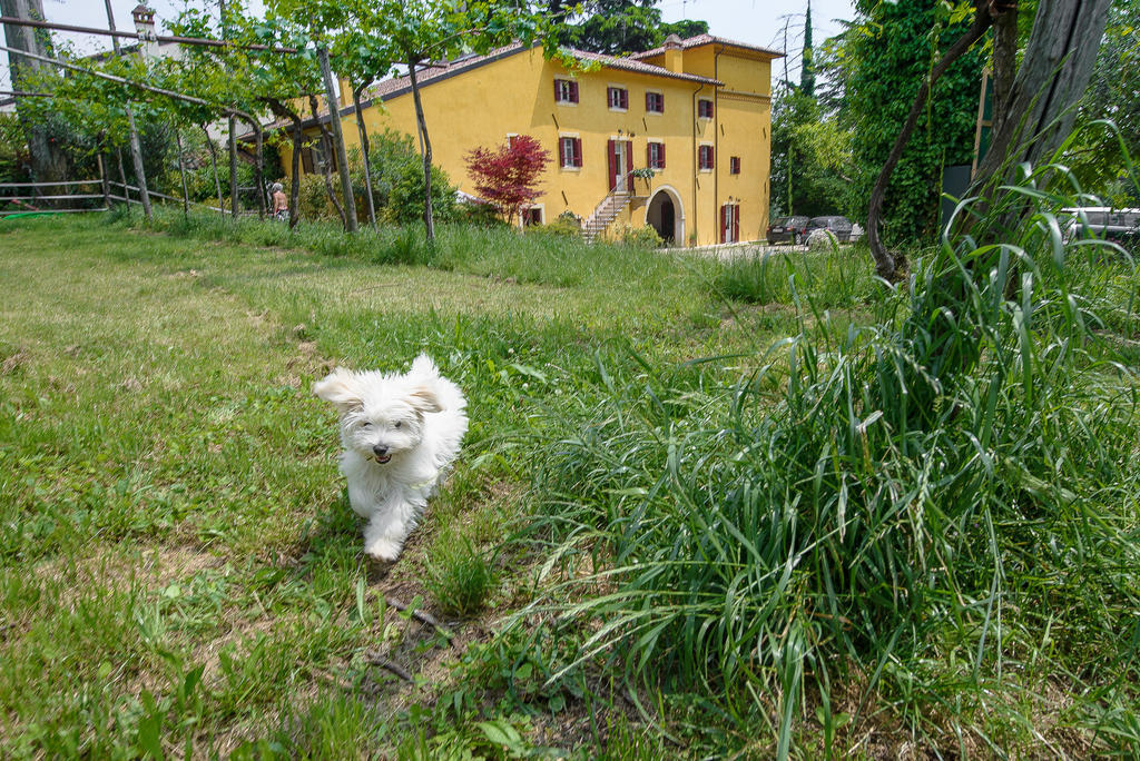 B&B Corte Jago Negrar Dış mekan fotoğraf